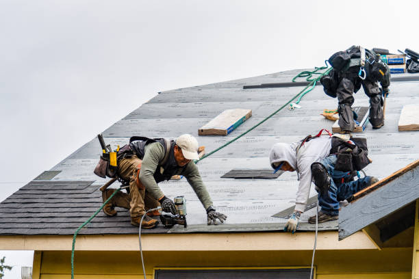 Professional Storm Damage Roof Repair technician working in Albany, TX